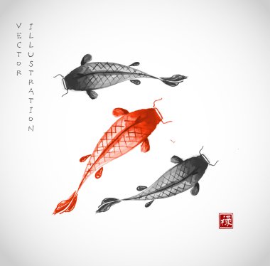 Siyah ve kırmızı koi carps