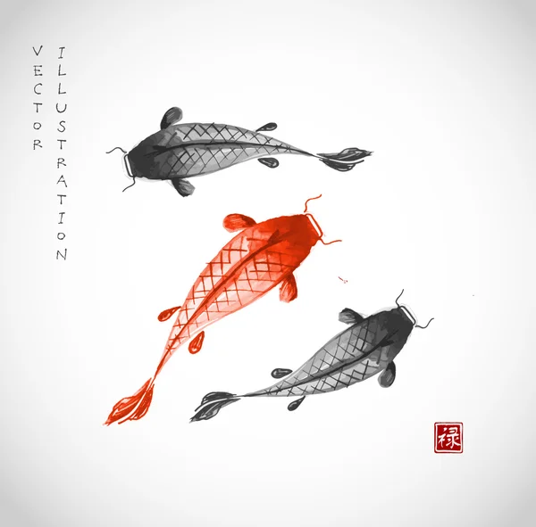 Carpas koi negras y rojas — Vector de stock