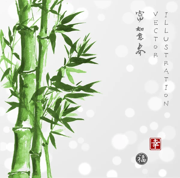 Green bamboo in sumi-e style — 스톡 벡터