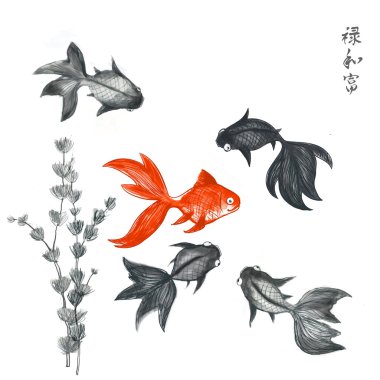 Goldfishes on white background.