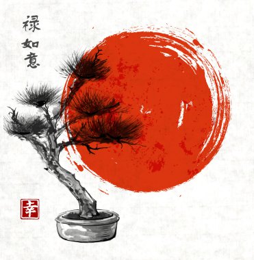 Bonsai pine tree and red sun
