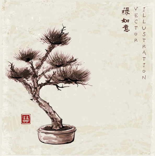 盆栽の松の木 — ストックベクタ
