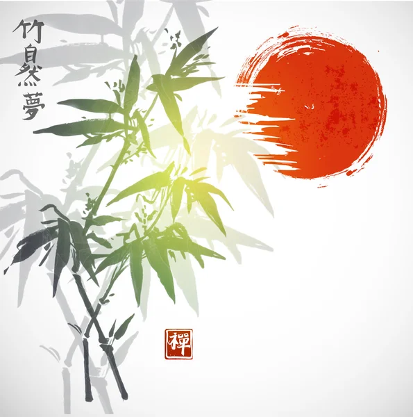 Bambous dessinés à la main à l'encre — Image vectorielle
