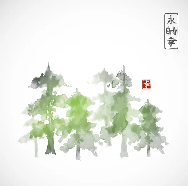 Соснові дерева ліс в тумані — стоковий вектор