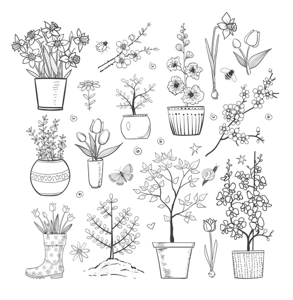 Collection of doodle sketch garden flowers — Stock Vector