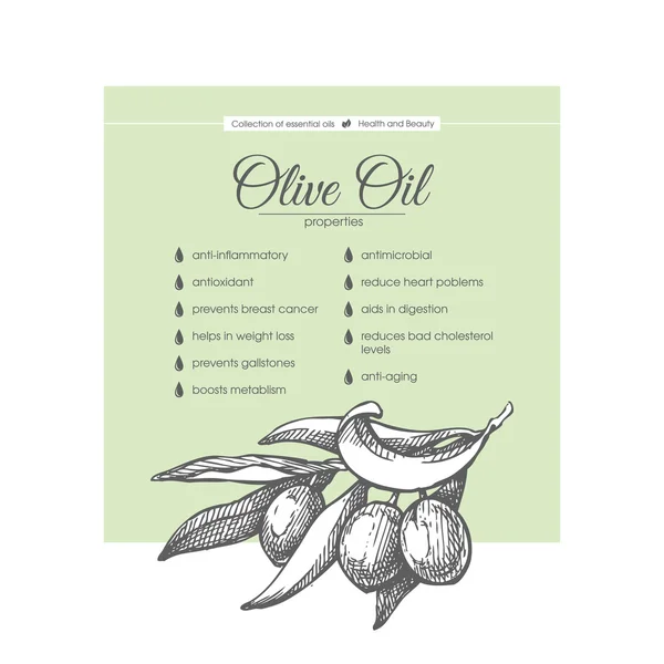 Stylový design s Obrázek skici oliv — Stockový vektor