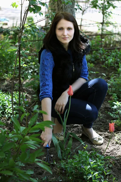 Trabalho da mulher na jardinagem da jarda — Fotografia de Stock