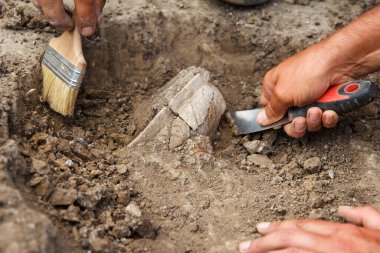 Archaeological excavations, archaeologists work, dig up an ancient clay artifact with special tools in soil clipart