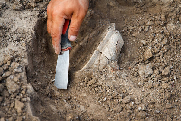 Archaeological excavations, archaeologists work, dig up an ancient clay artifact with special tools in soil