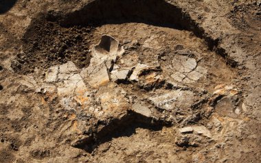 Arkeolojik işler, kazılmış kiremitler, antik kil kalıntıları, kil toprakta damarlar.