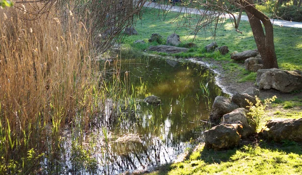 Beautiful Spring Landscape Lake Abandoned Green Area Path — Stock Photo, Image