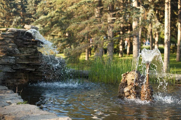 Beautiful Pond Fountain Park Made Handmade Stones Evergreen Plant — Stock Photo, Image