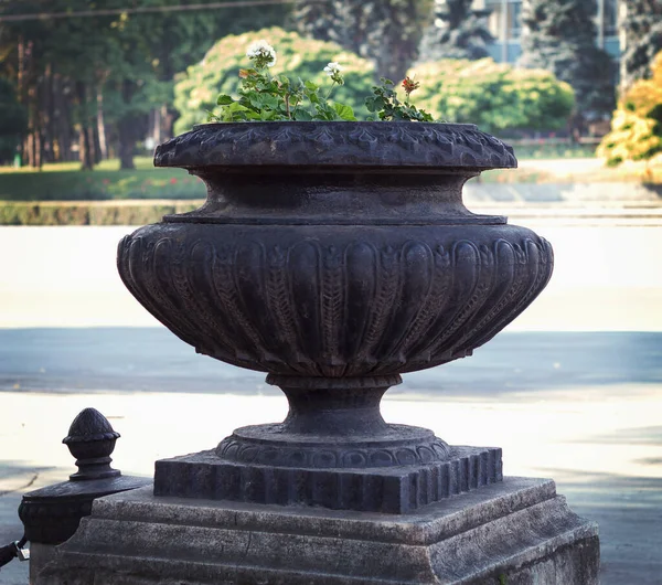 Metal Beautiful Vase Flowers Installed Gardeners Decoration City Center — Stock Photo, Image