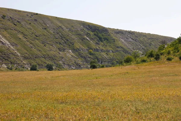 Krásná Přírodní Rokle Posetá Kopci Trávou Stromy Ohromující Krajina Pro — Stock fotografie