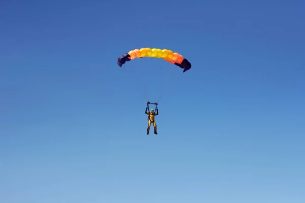 Flygning Erfaren Fallskärmsjägare Med Professionell Fallskärm Himlen Orientering Och Landning — Stockfoto