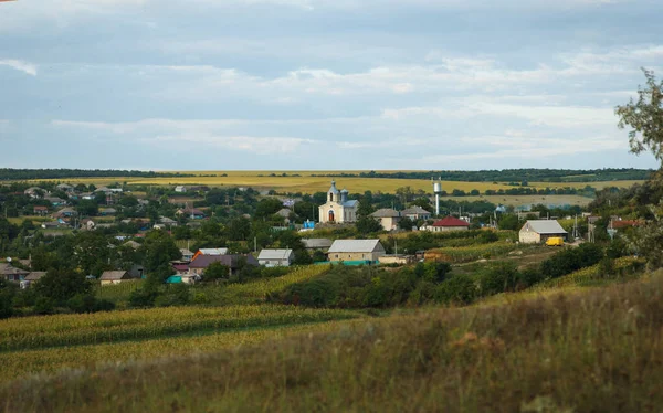 Landscape, green infrastructure of suburb, house and street against background of fields in summer