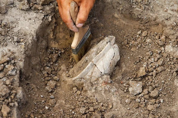 考古学专业的考古发掘 考古学家的工作 用特殊的工具在土壤中挖掘古代黏土文物 图库照片