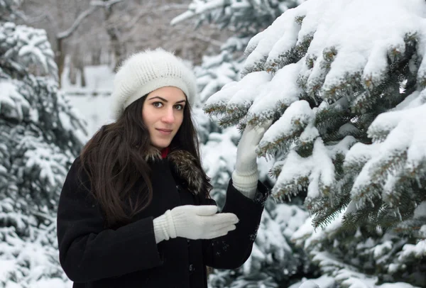 Schoonheid vrouw in besneeuwde weer — Stockfoto