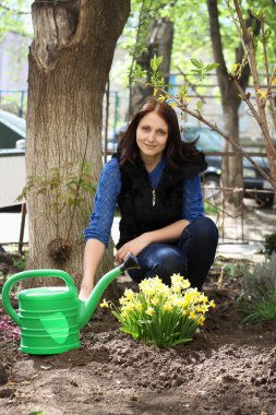 Mutlu genç bir kadın bahçesinde çömelmiş kameraya gülümsüyor, çiçekleri suluyor. Güneşli bir bahar gününde sarı nergis ve mor fundalarla ilgilenir. Doğal ışık, yaşam tarzı konsepti.
