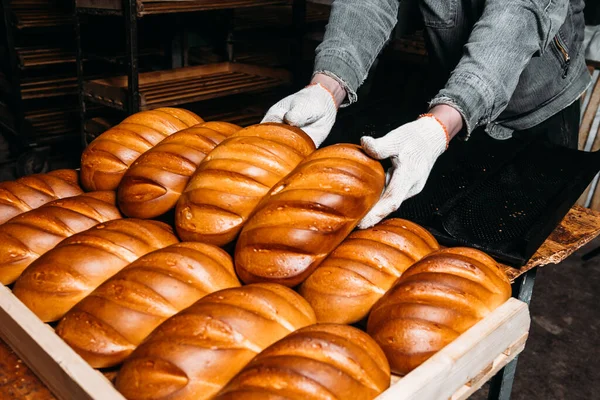 a man puts freshly baked bread on a tray. Baker puts a tray with fresh pastries on the shelf against the background of a bakery or bread factory.