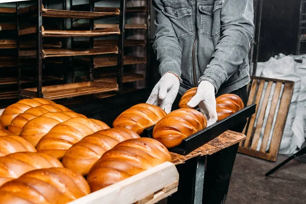 a man puts freshly baked bread on a tray. Baker puts a tray with fresh pastries on the shelf against the background of a bakery or bread factory.