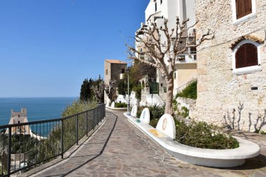 Lazio bölgesindeki bir Akdeniz köyü olan Sperlonga 'nın evleri arasında bir ara sokak..