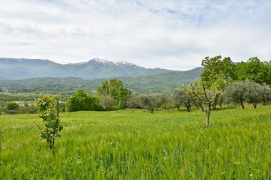 İtalya 'nın Molise bölgesinde eski bir kasaba olan Macchiagodena' nın panoraması..