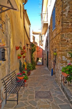 Altavilla Silentina 'da dar bir sokak, İtalya' nın Salerno eyaletinde eski bir kasaba..