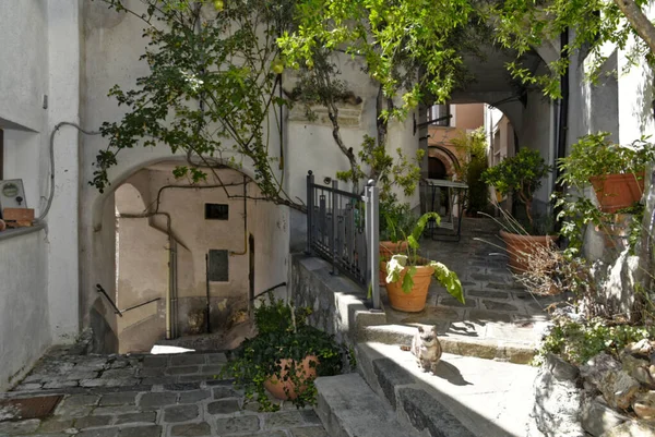 Viggiano 'da dar bir sokak, İtalya' nın Basilicata bölgesinde eski bir kasaba..
