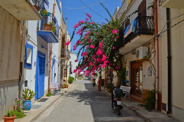 San Vito Capo Italien Augusti 2016 Smal Gata Bland Gamla — Stockfoto