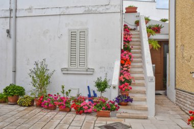 Castro di Lecce, İtalya, 18 Mayıs 2018. Tipik bir Akdeniz tarzı evin girişi Puglia bölgesindeki bir kasabada çiçeklerle süslenmiş..