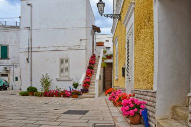 Castro di Lecce, İtalya, 18 Mayıs 2018. Puglia bölgesindeki bir kasabada çiçeklerle bezenmiş beyaz boyalı evler arasında dar bir sokak..
