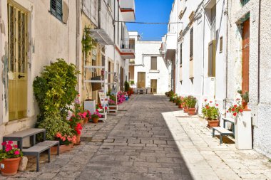 Castro di Lecce, İtalya, 18 Mayıs 2018. Puglia bölgesindeki bir kasabada çiçeklerle bezenmiş beyaz boyalı evler arasında dar bir sokak..