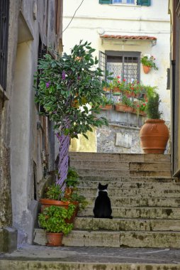 Lazio bölgesindeki bir ortaçağ köyü olan Fiuggi 'nin eski ve pitoresk evleri arasında bir sokak..