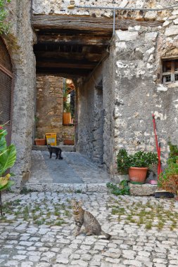 Lazio bölgesindeki ortaçağ köyü Prossedi 'nin eski evleri arasında dar bir sokak..
