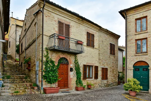 Street Old Houses Civitanova Alta Medieval Town Marche Region Italy — Stock Photo, Image