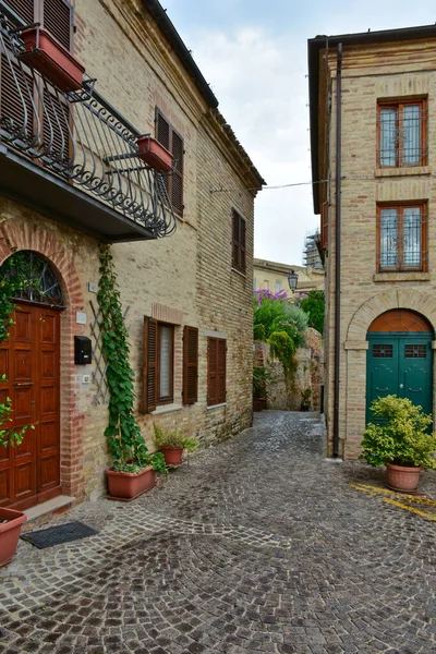 Uma Rua Entre Antigas Casas Citvitanova Alta Uma Cidade Medieval — Fotografia de Stock