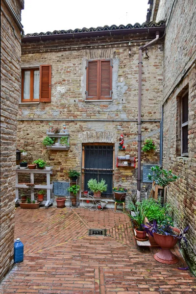 イタリアのマルケ州にある中世の町シビタノーヴァ アルタの古い家の間の通り — ストック写真
