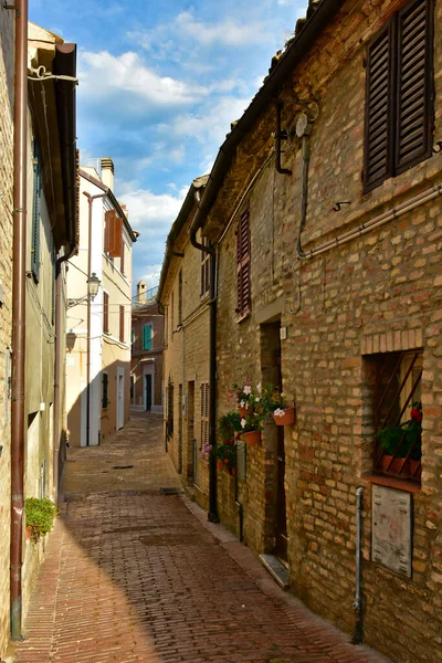 Úzká Ulice Mezi Starými Domy Civitanova Alta Středověké Město Marche — Stock fotografie