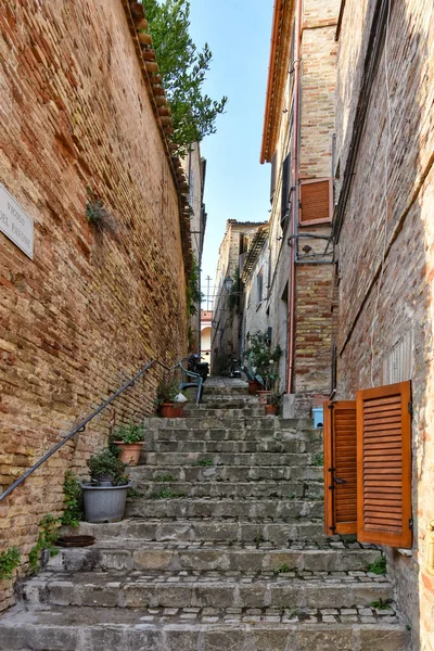 イタリアのマルケ州の中世の町シビタノーヴァ アルタの古い家の間の狭い通り — ストック写真