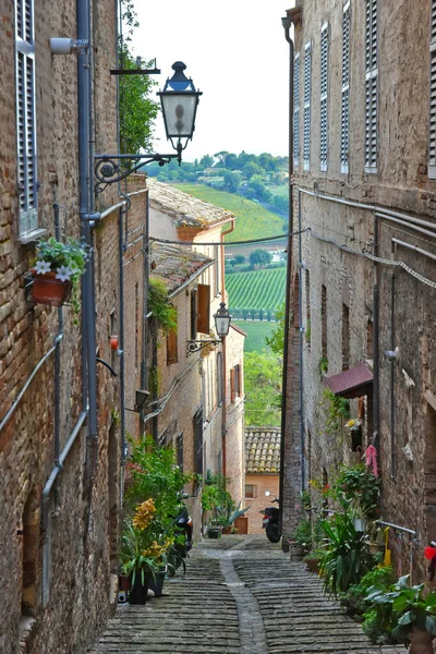 Smal Gata Mellan Gamla Husen Civitanova Alta Medeltida Stad Regionen — Stockfoto