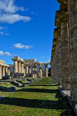 Paestum, İtalya, 12 / 28 / 2016. Campania bölgesindeki bir arkeoloji parkında antik bir Yunan tapınağının sütunları.