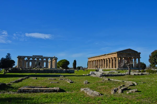 Paestum Ιταλία 2016 Αρχαίος Ελληνικός Ναός Περιτριγυρισμένος Από Πάρκο Μια — Φωτογραφία Αρχείου