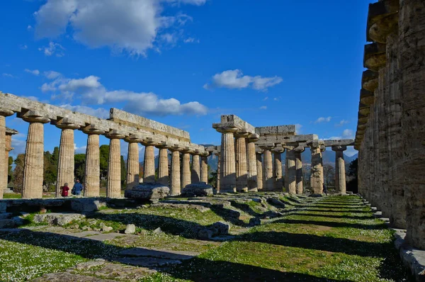 Paestum Itálie 2016 Starověký Řecký Chrám Obklopený Parkem Městě Regionu — Stock fotografie