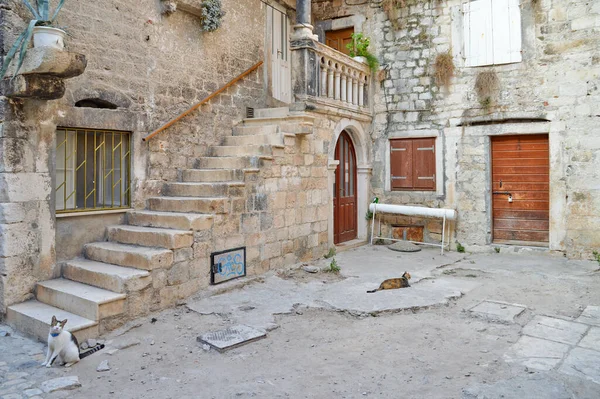 Trogir, Hırvatistan, 08 / 29 / 2017. Eski bir Hırvat kasabasının ortaçağ mahallesinde küçük bir sokak.