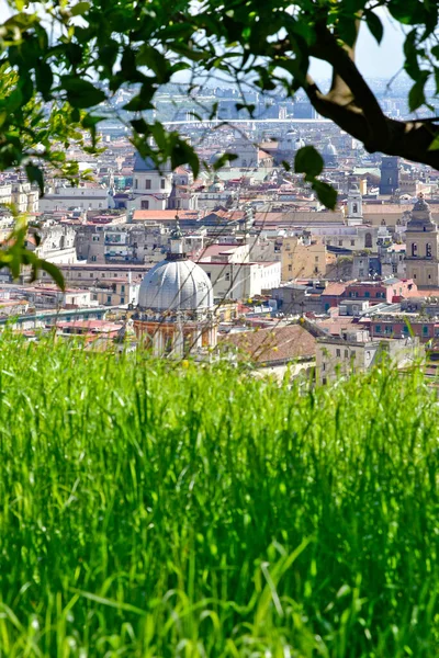 Panorama City Naples Vineyard Abbey Saint Martin Italy — Stock Photo, Image