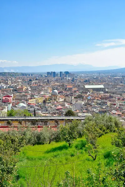 Panorama Ville Naples Depuis Vignoble Abbaye Saint Martin Italie — Photo