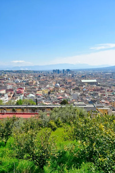 Panorama Ville Naples Depuis Vignoble Abbaye Saint Martin Italie — Photo