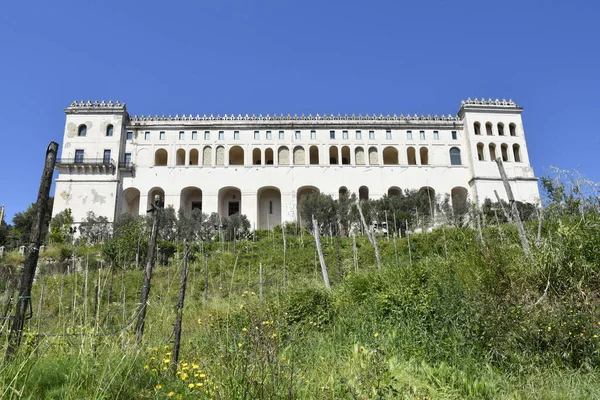 Panorama City Naples Vineyard Abbey Saint Martin Italy — Stock Photo, Image