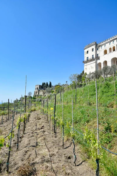 Naples Italy April 2021 Monastery Saint Martin Seen Vineyard — Stock Photo, Image